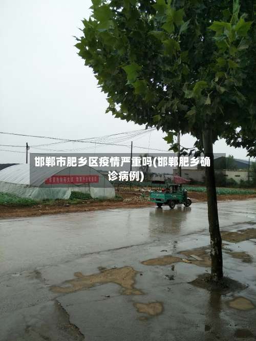 邯郸市肥乡区疫情严重吗(邯郸肥乡确诊病例)