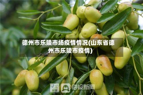 德州市乐陵市场疫情情况(山东省德州市乐陵市疫情)-第2张图片