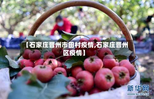 【石家庄晋州市田村疫情,石家庄晋州区疫情】