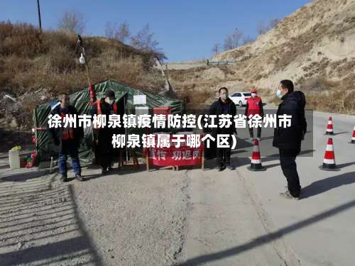 徐州市柳泉镇疫情防控(江苏省徐州市柳泉镇属于哪个区)