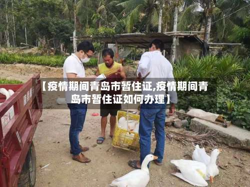 【疫情期间青岛市暂住证,疫情期间青岛市暂住证如何办理】