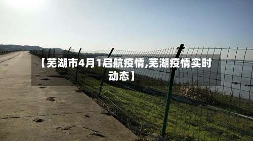 【芜湖市4月1启航疫情,芜湖疫情实时动态】-第3张图片