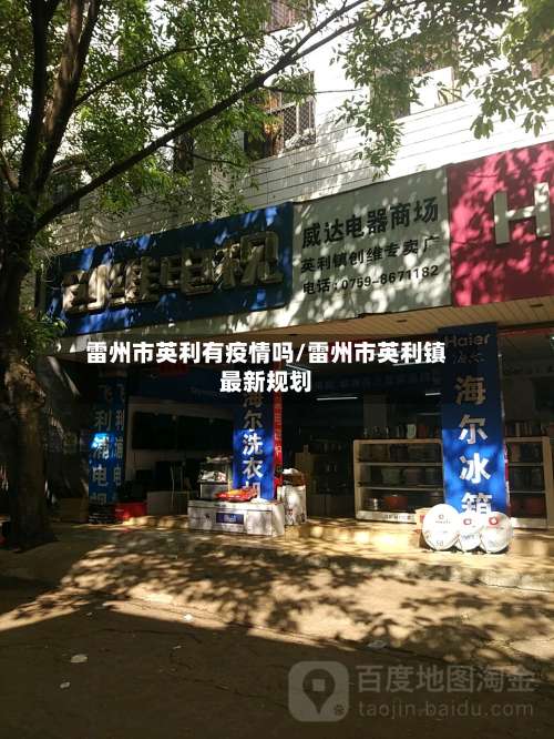 雷州市英利有疫情吗/雷州市英利镇最新规划