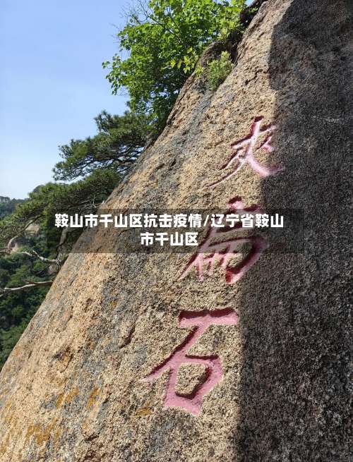 鞍山市千山区抗击疫情/辽宁省鞍山市千山区