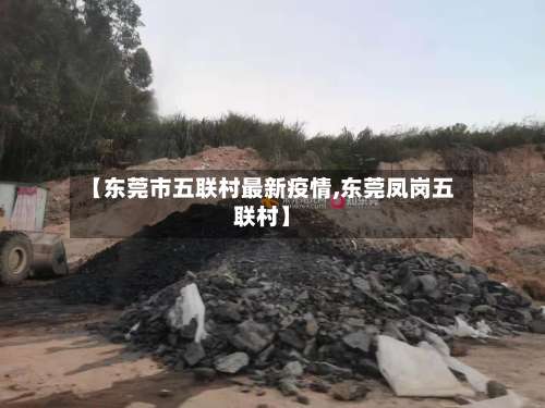 【东莞市五联村最新疫情,东莞凤岗五联村】-第2张图片