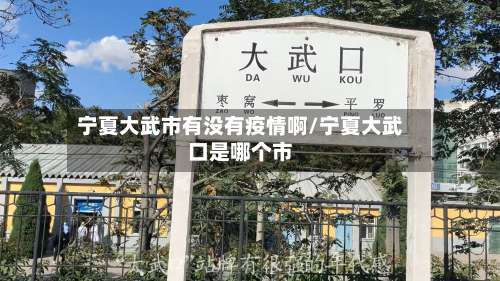 宁夏大武市有没有疫情啊/宁夏大武口是哪个市