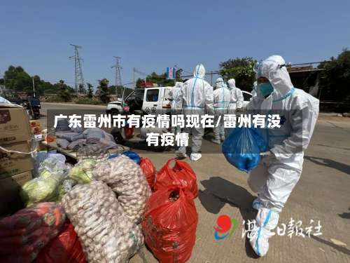 广东雷州市有疫情吗现在/雷州有没有疫情