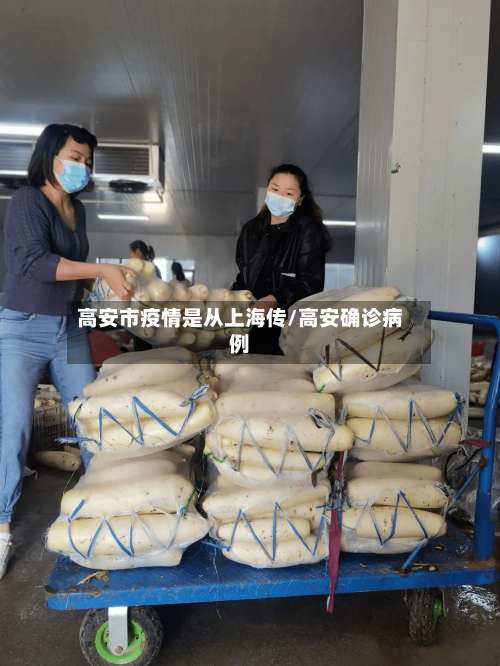 高安市疫情是从上海传/高安确诊病例