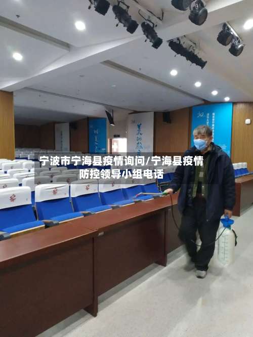 宁波市宁海县疫情询问/宁海县疫情防控领导小组电话-第2张图片