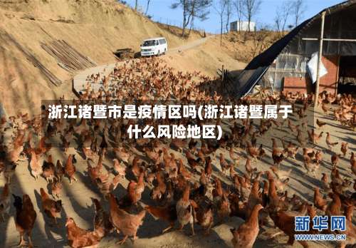 浙江诸暨市是疫情区吗(浙江诸暨属于什么风险地区)-第2张图片