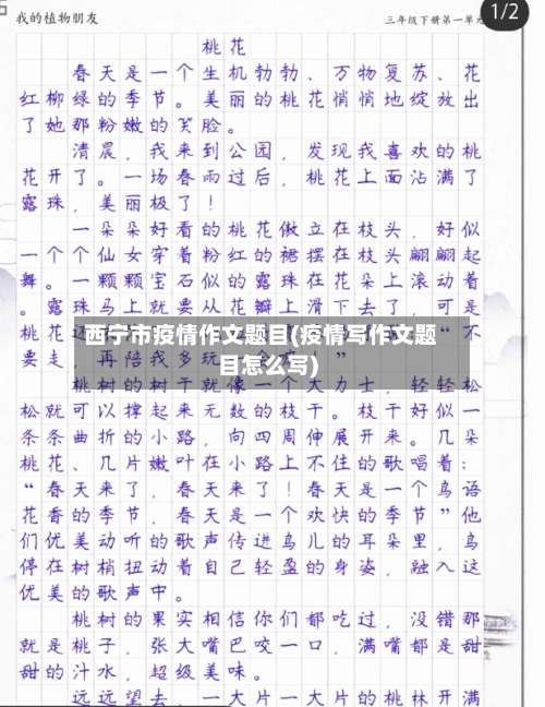 西宁市疫情作文题目(疫情写作文题目怎么写)