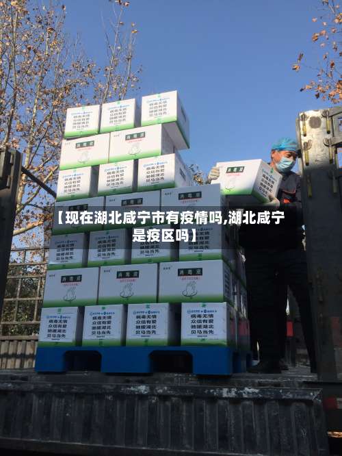 【现在湖北咸宁市有疫情吗,湖北咸宁是疫区吗】