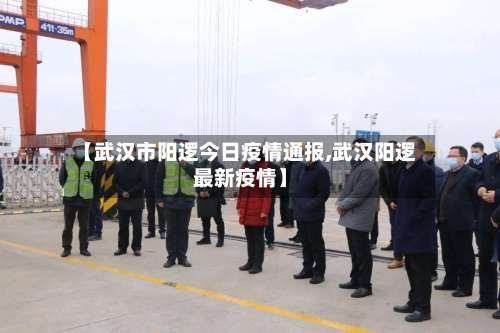 【武汉市阳逻今日疫情通报,武汉阳逻最新疫情】-第3张图片