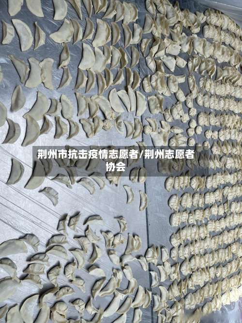 荆州市抗击疫情志愿者/荆州志愿者协会-第2张图片