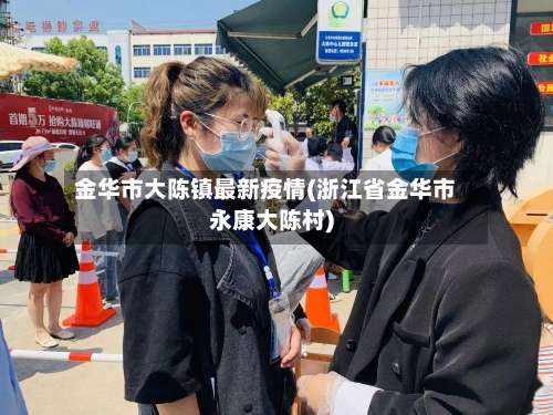 金华市大陈镇最新疫情(浙江省金华市永康大陈村)-第3张图片