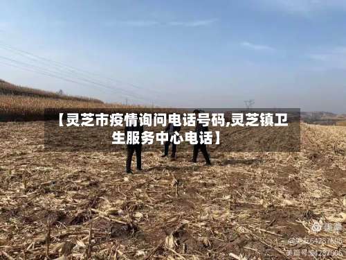 【灵芝市疫情询问电话号码,灵芝镇卫生服务中心电话】-第2张图片