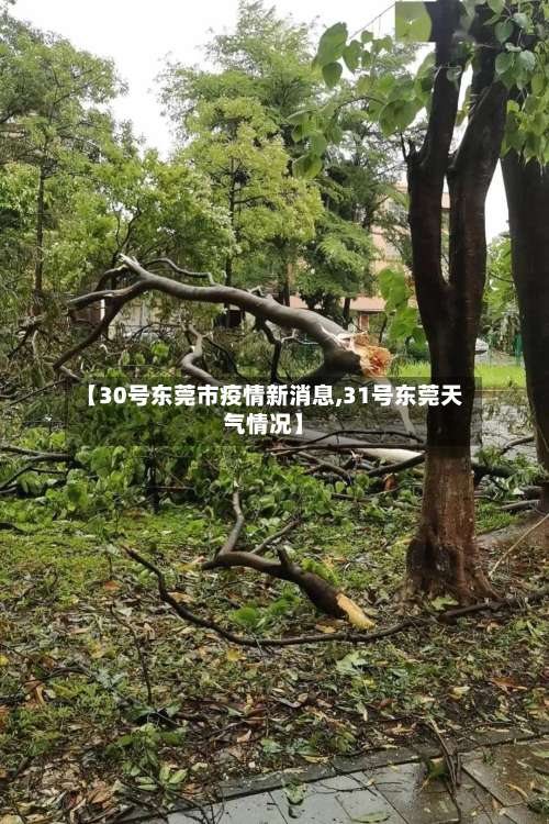 【30号东莞市疫情新消息,31号东莞天气情况】