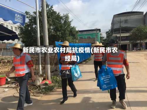 新民市农业农村局抗疫情(新民市农经局)-第2张图片