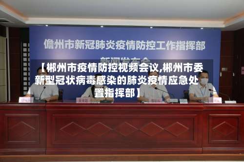 【郴州市疫情防控视频会议,郴州市委新型冠状病毒感染的肺炎疫情应急处置指挥部】-第3张图片