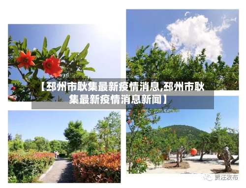 【邳州市耿集最新疫情消息,邳州市耿集最新疫情消息新闻】-第3张图片