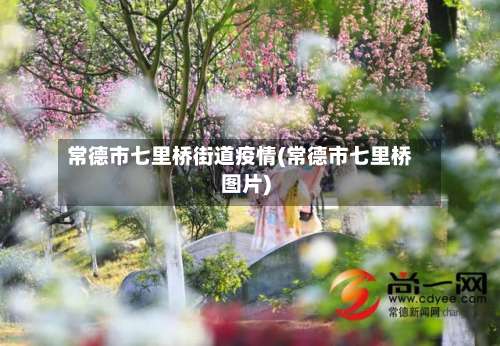 常德市七里桥街道疫情(常德市七里桥图片)-第2张图片