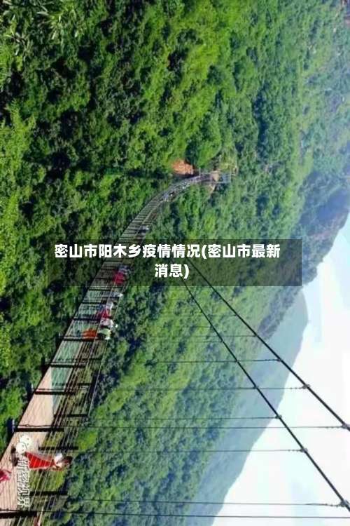 密山市阳木乡疫情情况(密山市最新消息)