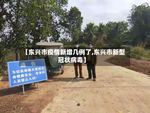 【东兴市疫情新增几例了,东兴市新型冠状病毒】-第3张图片