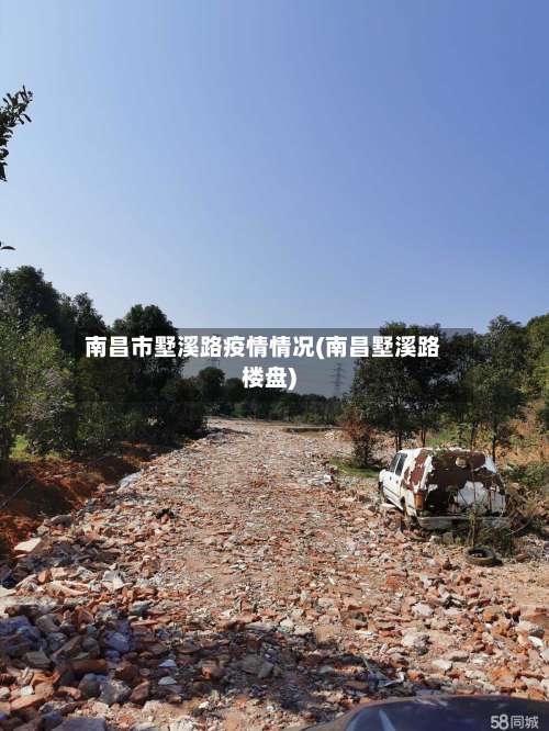 南昌市墅溪路疫情情况(南昌墅溪路楼盘)