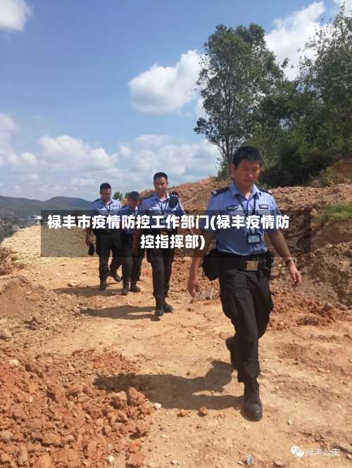 禄丰市疫情防控工作部门(禄丰疫情防控指挥部)-第2张图片