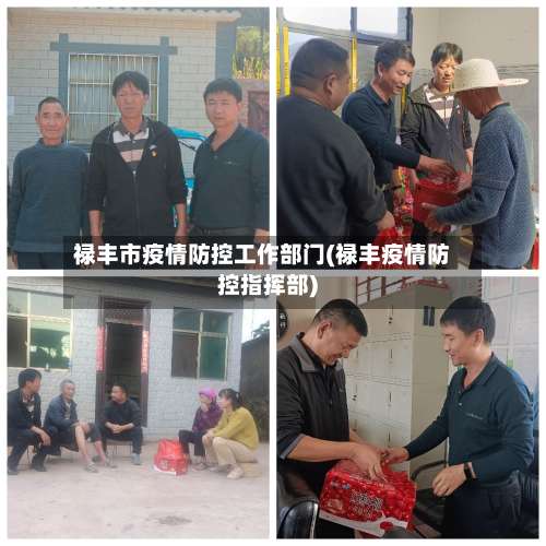 禄丰市疫情防控工作部门(禄丰疫情防控指挥部)