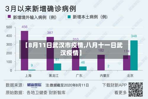 【8月11日武汉市疫情,八月十一日武汉疫情】