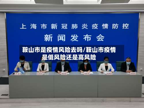 鞍山市是疫情风险去吗/鞍山市疫情是低风险还是高风险-第3张图片