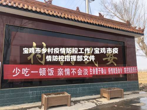 宝鸡市乡村疫情防控工作/宝鸡市疫情防控指挥部文件