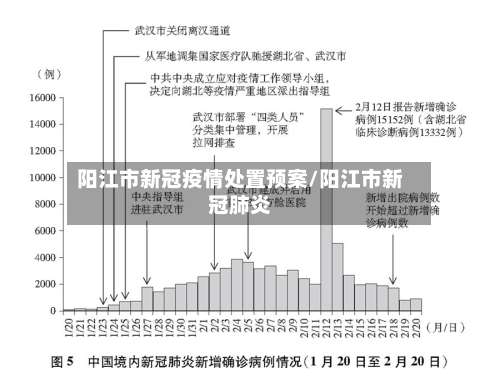 阳江市新冠疫情处置预案/阳江市新冠肺炎