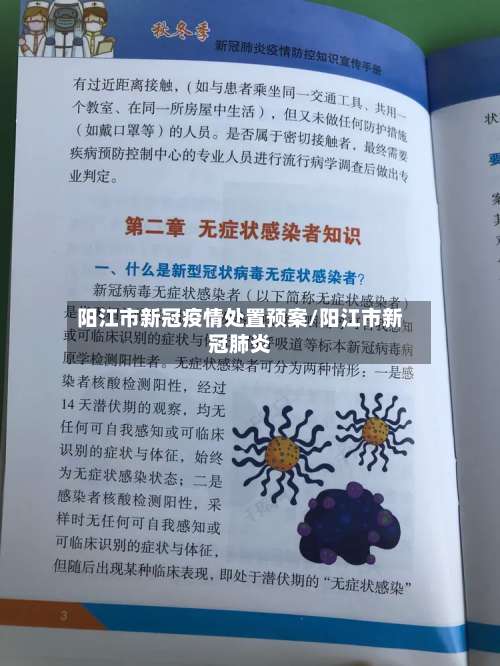 阳江市新冠疫情处置预案/阳江市新冠肺炎-第3张图片