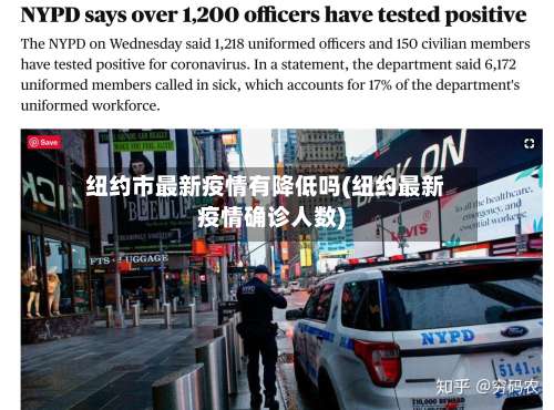 纽约市最新疫情有降低吗(纽约最新疫情确诊人数)-第3张图片