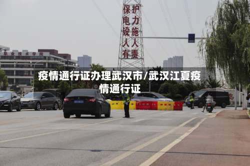 疫情通行证办理武汉市/武汉江夏疫情通行证-第3张图片
