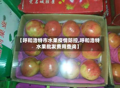 【呼和浩特市水果疫情防控,呼和浩特水果批发费用查询】