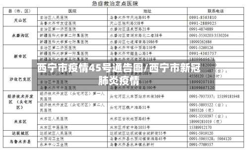 西宁市疫情45号通告图/西宁市新冠肺炎疫情-第2张图片