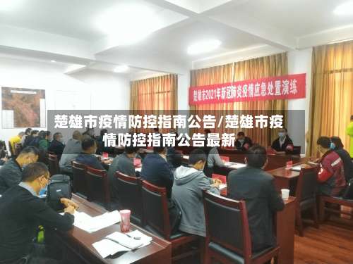 楚雄市疫情防控指南公告/楚雄市疫情防控指南公告最新-第2张图片