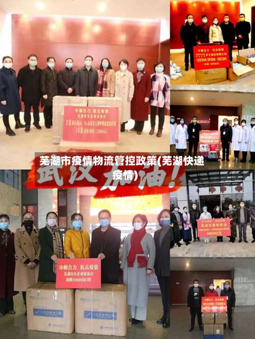 芜湖市疫情物流管控政策(芜湖快递疫情)-第3张图片