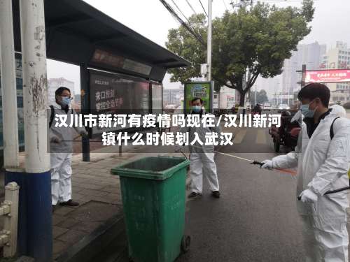 汉川市新河有疫情吗现在/汉川新河镇什么时候划入武汉-第3张图片