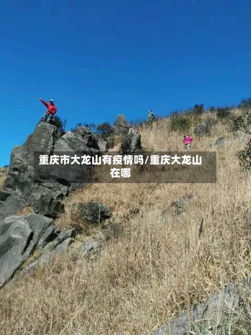 重庆市大龙山有疫情吗/重庆大龙山在哪
