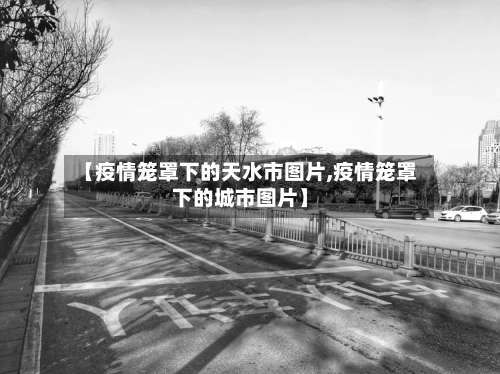【疫情笼罩下的天水市图片,疫情笼罩下的城市图片】