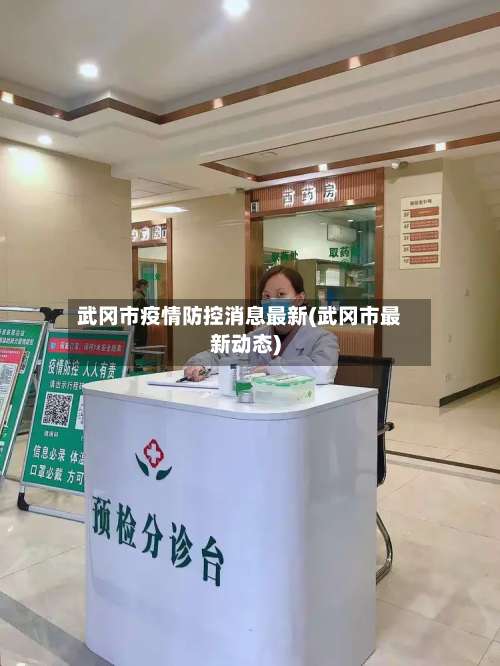 武冈市疫情防控消息最新(武冈市最新动态)