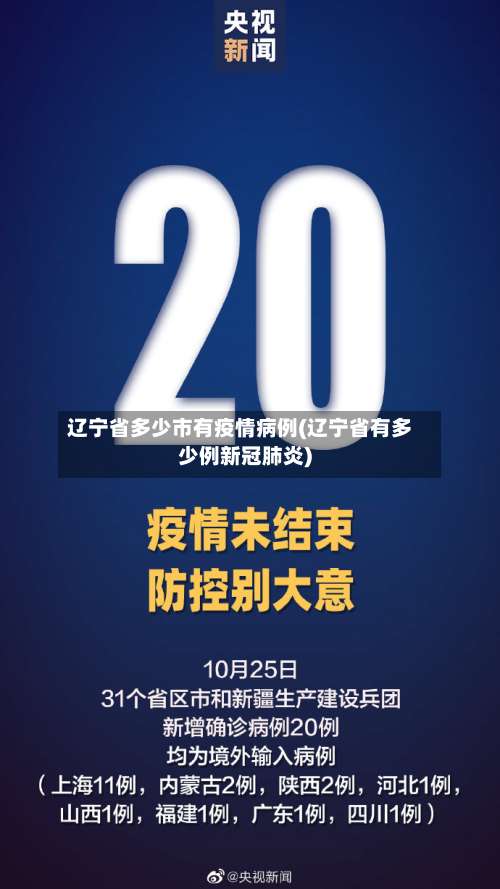 辽宁省多少市有疫情病例(辽宁省有多少例新冠肺炎)