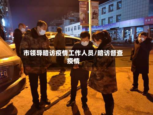 市领导暗访疫情工作人员/暗访督查疫情-第2张图片