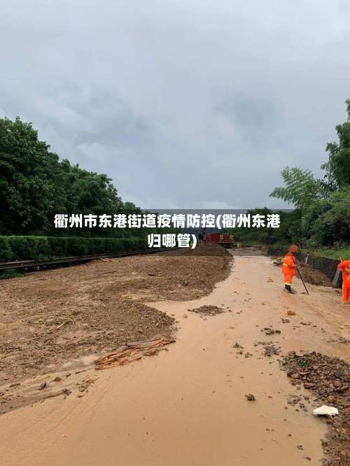 衢州市东港街道疫情防控(衢州东港归哪管)