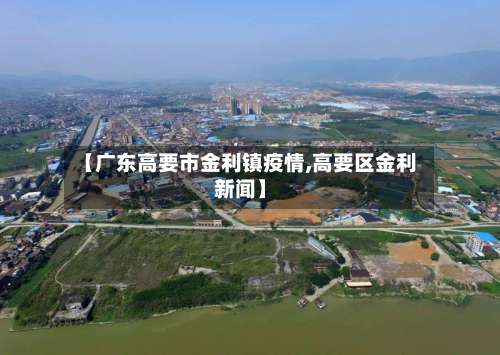 【广东高要市金利镇疫情,高要区金利新闻】