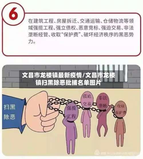 文昌市龙楼镇最新疫情/文昌市龙楼镇扫黑除恶批捕名单图片-第3张图片